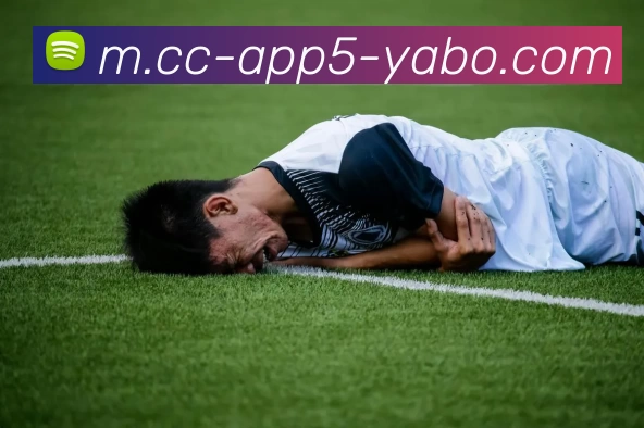 App 展示图