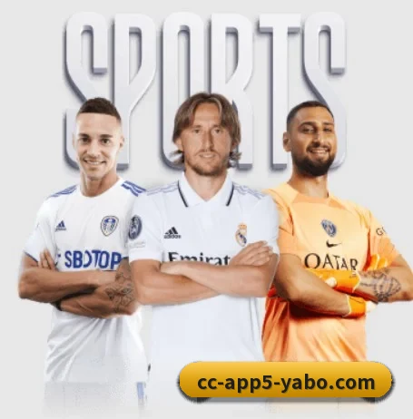 了解平台 - 体育资讯内容服务 - YaboSports